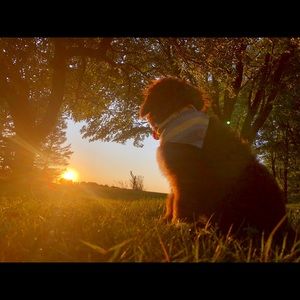 Meet your Posher, Justin